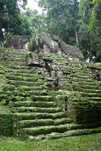 Ancient Mayan Terraces